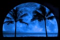 Tropical Palm Trees Silhouette Moon Light Royalty Free Stock Photo