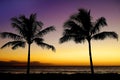 Tropical Palm Trees Silhouette Sunset or Sunrise Royalty Free Stock Photo
