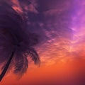 Tropical palm trees sillouhettes against a purple, pink and orange sunset sky. Royalty Free Stock Photo