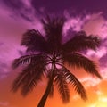 Tropical palm trees sillouhettes against a purple, pink and orange sunset sky. Royalty Free Stock Photo