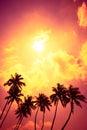 Tropical palm trees at sunset beach with shining sun and colorful clouds Royalty Free Stock Photo