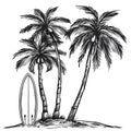Tropical Palm Trees With Surfboard Illustration On White Background Royalty Free Stock Photo