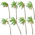 Tropical Palm Trees on Wind Storm Royalty Free Stock Photo