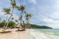 Tropical palms on beautiful Bai Sao beach in Vietnam on Phu Quoc island Royalty Free Stock Photo