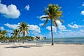 Tropical palms and lounge chairs sit along the sandy waterfront of the Atlantic Ocean in Islamorada, Florida USA Royalty Free Stock Photo