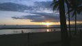 Tropical Palms at Sunset Royalty Free Stock Photo