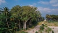 Tropical panoramic landscape with beautiful trees and man standing on the road at the island Manadhoo the capital of Noonu atoll Royalty Free Stock Photo