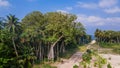 Tropical panoramic landscape with exotic trees with man standing on the road at the island Manadhoo the capital of Noonu atoll Royalty Free Stock Photo