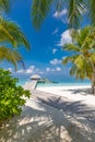 Palm leaves exotic wooden pier pathway into paradise island in Maldives. Tropical shore, palm trees white sand, tranquility Royalty Free Stock Photo