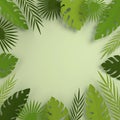 Tropical paper palm leaves frame. Summer tropical green leaf. Origami exotic hawaiian jungle foliage, summertime background. Paper Royalty Free Stock Photo