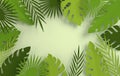 Tropical paper palm leaves frame. Summer tropical green leaf. Origami exotic hawaiian jungle foliage, summertime background. Paper Royalty Free Stock Photo