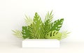 Tropical paper palm, monstera leaves frame, podium platform for product presentation. Summer tropical leaf. Origami exotic