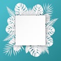 Tropical paper palm, monstera leaves frame. Summer tropical leaf