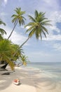 Tropical Paradise Royalty Free Stock Photo