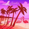 Tropical paradise background. Summer time banner vector illustration. Pink male and female flamingo couple. Exotic