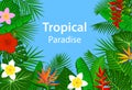 Tropical paradise background with tropic exotic jungle plants, leaves