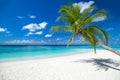 Tropical paradise beach background Royalty Free Stock Photo