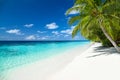 Tropical paradise beach background Royalty Free Stock Photo