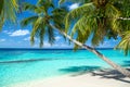Tropical paradise beach background Royalty Free Stock Photo