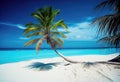 Tropical paradise beach landscape with white sand and coco palm. Royalty Free Stock Photo