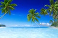 Tropical Paradise Beach with Palm Tree Royalty Free Stock Photo