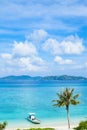 Tropical paradise beach with palm tree, Okinawa, Japan Royalty Free Stock Photo