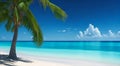 tropical paradise beach with white sand and coco palms travel tourism wide panorama background concept Royalty Free Stock Photo