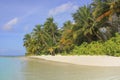 Tropical paradise beach with white sand and coconut palm trees.