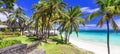 Tropical paradise beach with white sand and palm trees.  Belle Mare beach Mauritius island Royalty Free Stock Photo