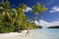Tropical Paradise - The Cook Islands Royalty Free Stock Photo