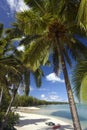 Tropical Paradise - The Cook Islands Royalty Free Stock Photo