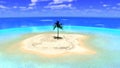 Tropical Paradise Desert Island Illustration