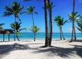 Tropical paradise dreamy seach and sea, coconut and palm trees and sand.