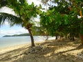 Girl walking on a sandbar. Tropical Paradise - Fiji - islands on South Pacific Royalty Free Stock Photo