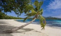 Tropical Paradise - Fiji - South Pacific Royalty Free Stock Photo