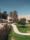 A tropical paradise garden with a green lawn, tall palm trees and a white ancient stone wall. Royalty Free Stock Photo