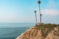 A tropical paradise with a gazebo nestled among swaying palm trees, offering a mesmerizing ocean view, beautiful blue sky in the Royalty Free Stock Photo