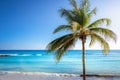 Tropical paradise: caribbean beach with single palm tree, Montego Bay, Jamaica Royalty Free Stock Photo