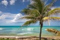 Tropical paradise: caribbean beach with single palm tree, Montego Bay, Jamaica Royalty Free Stock Photo