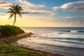 Tropical paradise: caribbean beach with single palm tree, Montego Bay, Jamaica Royalty Free Stock Photo