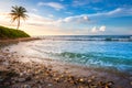 Tropical paradise: caribbean beach with single palm tree, Montego Bay, Jamaica Royalty Free Stock Photo