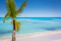 Tropical paradise: caribbean beach with single palm tree and boat, Punta Cana