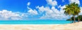 Tropical paradise island sea beach, coconut palm tree leaves, ocean water, sky sun clouds, sand, summer holidays, vacation, travel Royalty Free Stock Photo