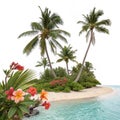 Tropical paradise isolated on transparent background Royalty Free Stock Photo