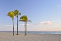 Tropical paradise in Miami Beach Florida with palm Royalty Free Stock Photo