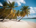 Tropical paradise with palm trees and crystal blue water Royalty Free Stock Photo