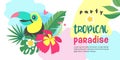 Hello summer. Party tropical Paradise. Vector illustration, invitation to a party with a cute Toucan bird. Royalty Free Stock Photo