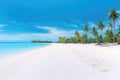 Tropical Paradise - Sandy Beach With Palm Trees and Crystal Clear Blue Water, White sand and coco palms travel tourism wide Royalty Free Stock Photo