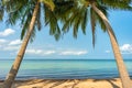 Tropical paradise sandy beach with palms and calm clear turquoise sea water Royalty Free Stock Photo