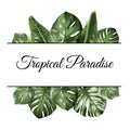 Tropical paradise top bottom frame. Exotic jungle rainforest greenery. Palm tree monstera philodendron leaves.